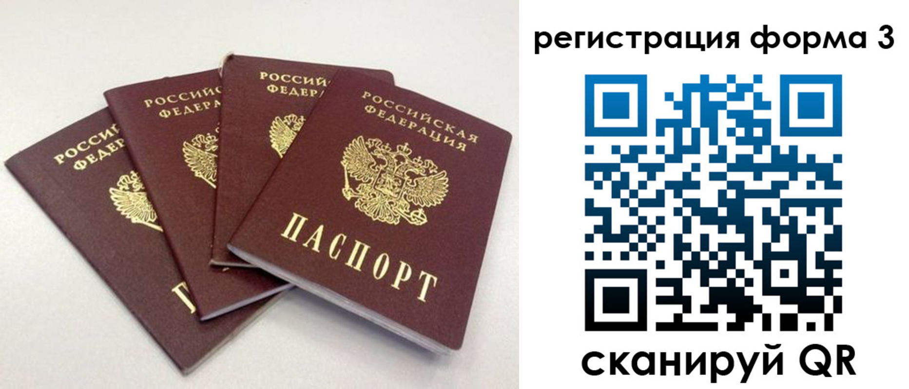 прописка 2025 в Сельцо